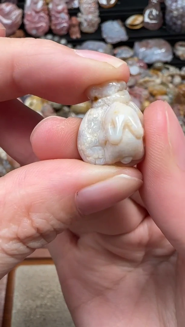 颈饰未镶嵌硅化珊瑚（珊瑚玉）832