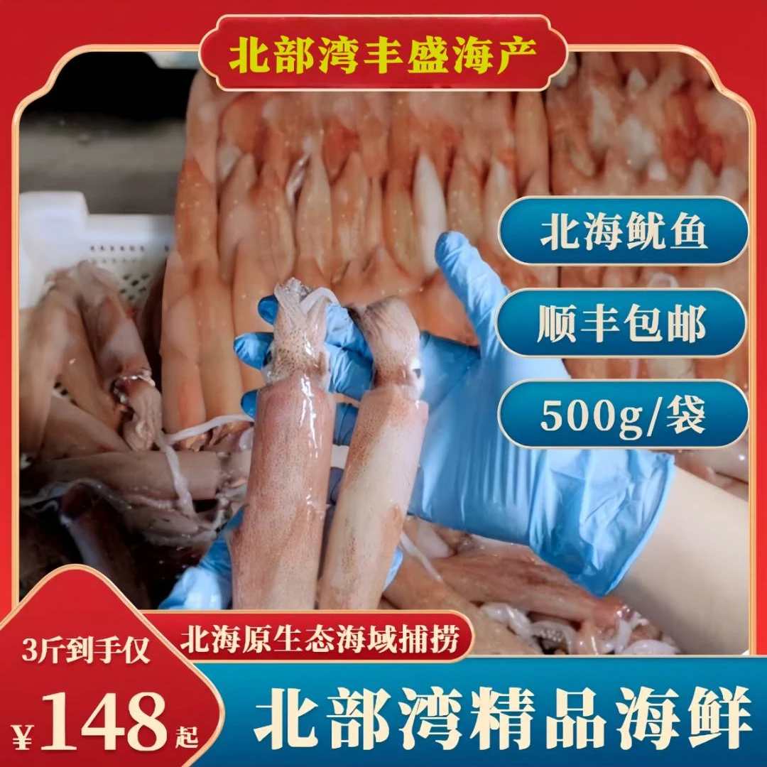 北部湾海捕鱿鱼北海鲜鱿鱼小管脆口海兔白灼火锅食材28