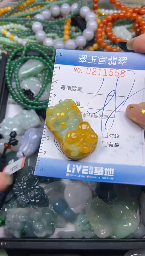 颈饰未镶嵌翡翠闪购C0211558
