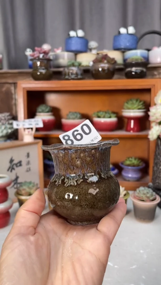 瓷片860小芳直播编号
