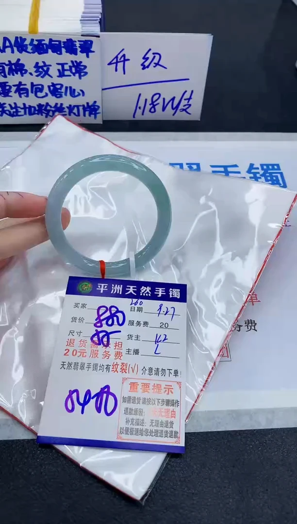 未镶嵌手镯翡翠1