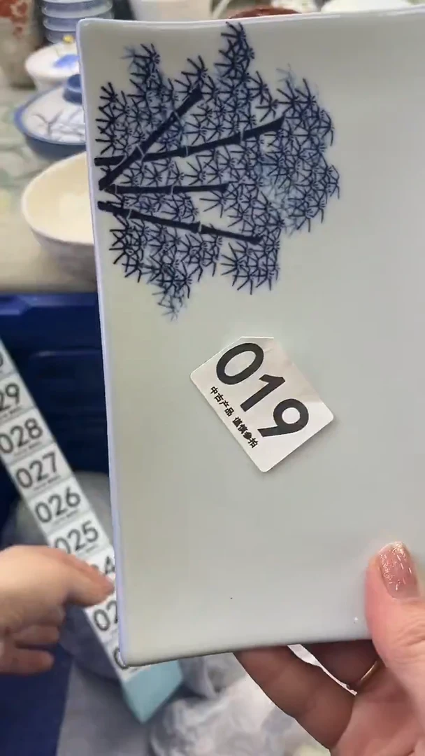 瓷片（****）019........