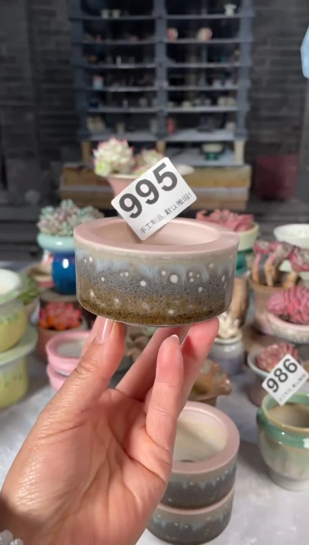 瓷片995小芳直播编号