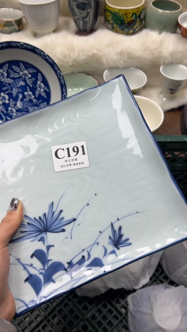 【闪购商品】瓷片          C191