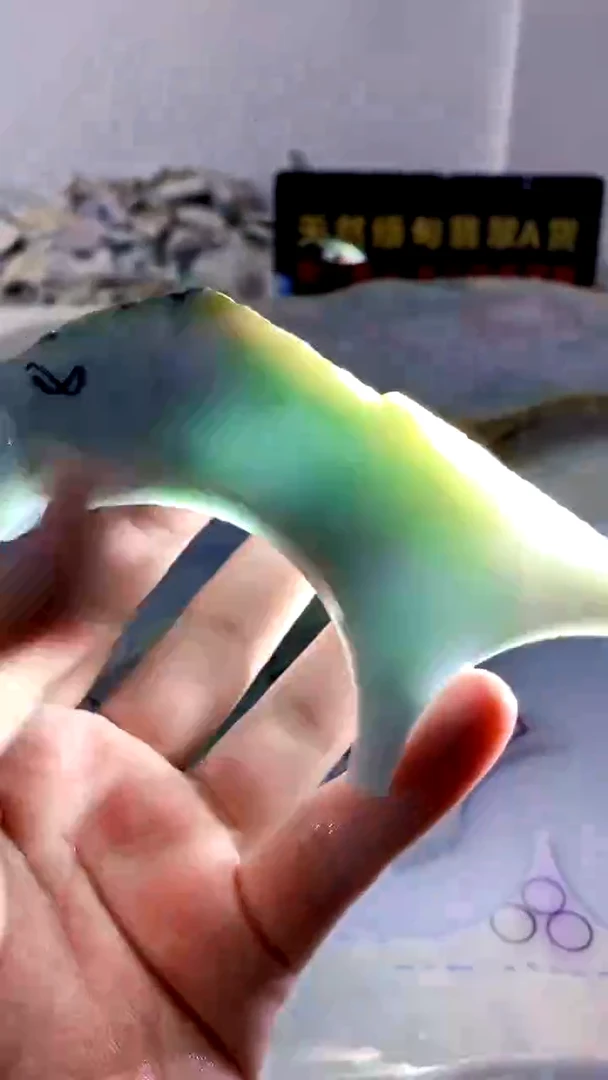 颈饰未镶嵌翡翠缅甸A货翡翠598