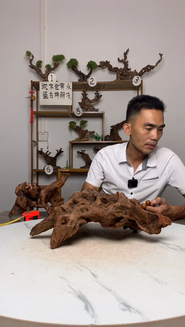 Z*.鱼缸造景沉木摆件