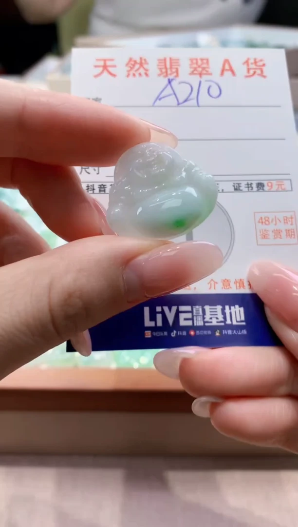 颈饰未镶嵌翡翠天然缅甸a货翡翠