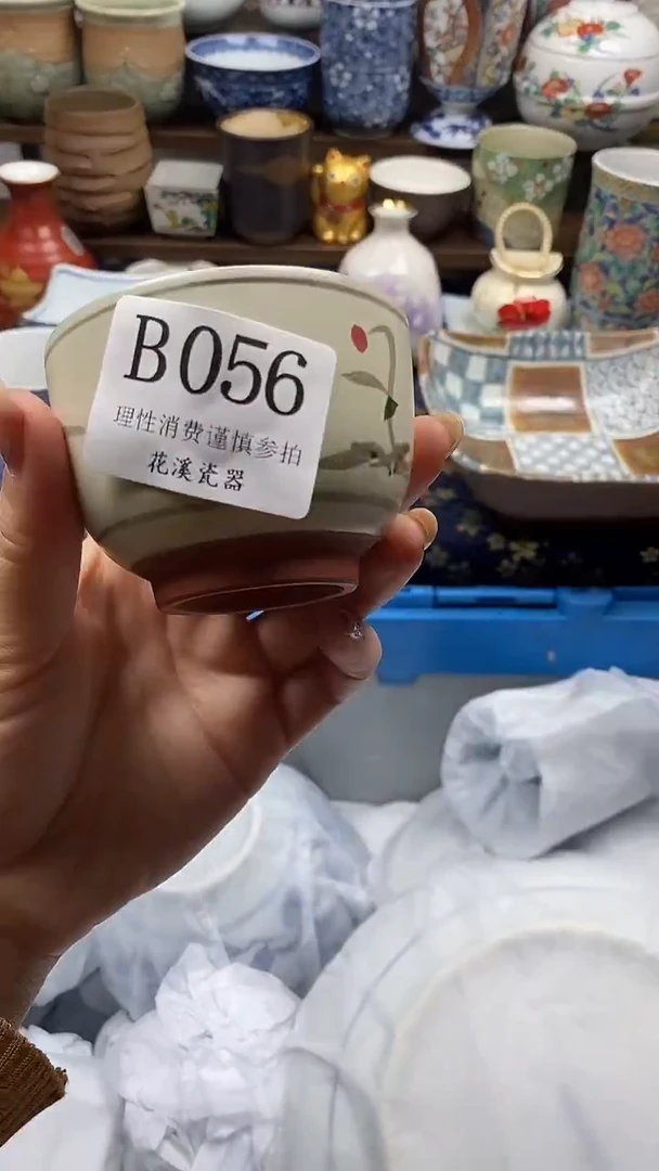 瓷片鲨***?           B056