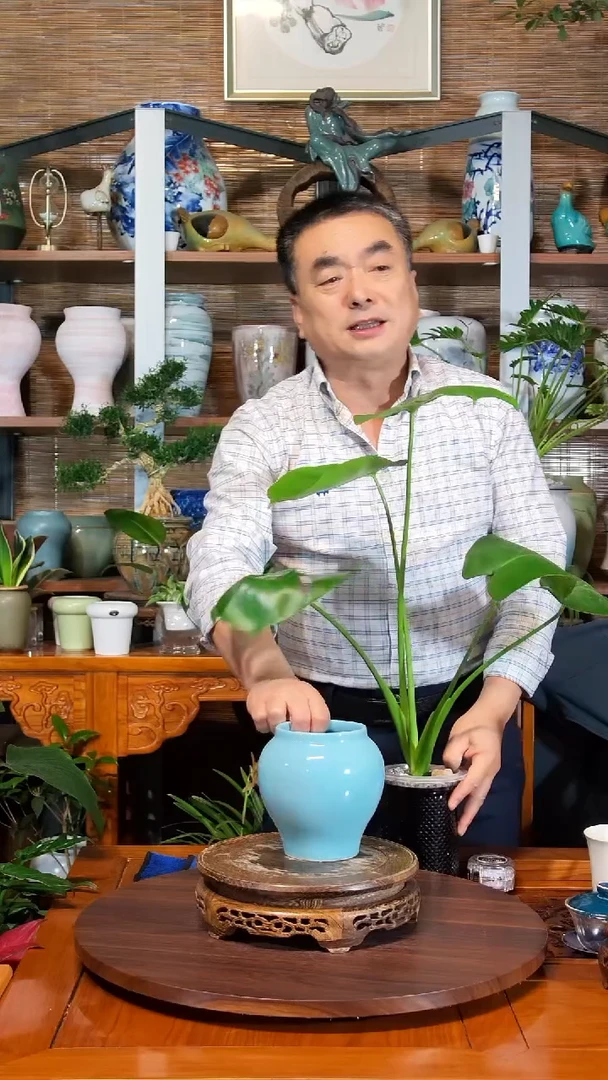 无花朵美***z水之韵水培瓷器