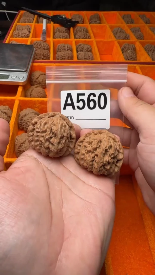 吊坠文玩核桃途*白狮子40-A560