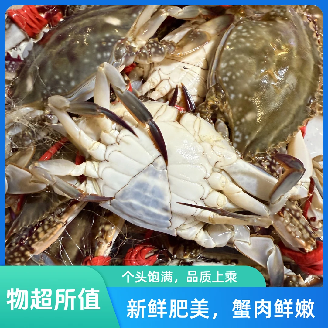 【保鲜不保活】精品三角蟹 鲜到海鲜小店天津渤海湾冰鲜梭子蟹净重量2斤-6斤 2-3两/只 每斤3-4只 顺丰上门