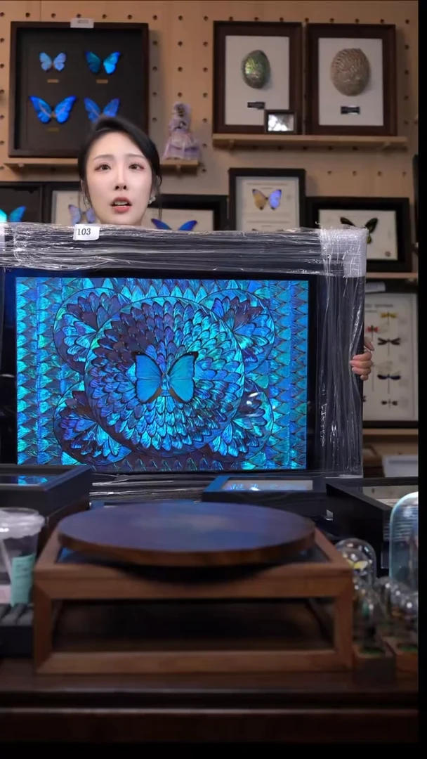 蓝闪蝶翅画蝴蝶翅膀蝶翅画n108
