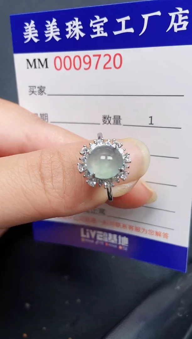 翡翠银S925镶嵌颈饰9720