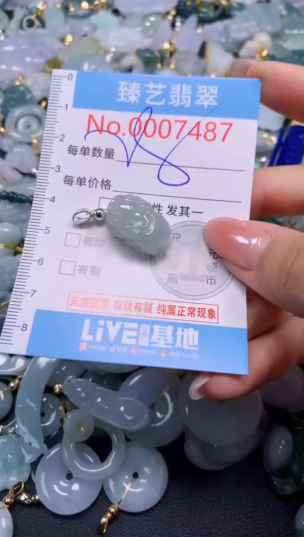 颈饰未镶嵌翡翠7487