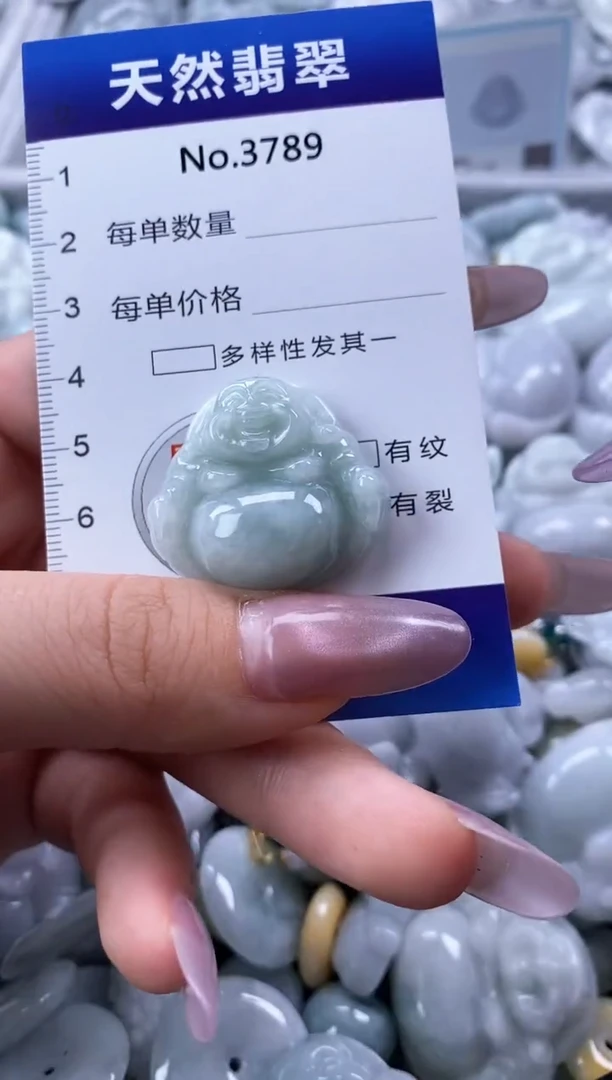 翡翠未镶嵌颈饰缅甸A货翡翠3789