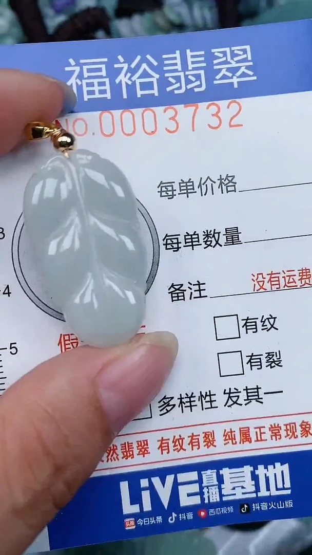 翡翠未镶嵌颈饰...0003732
