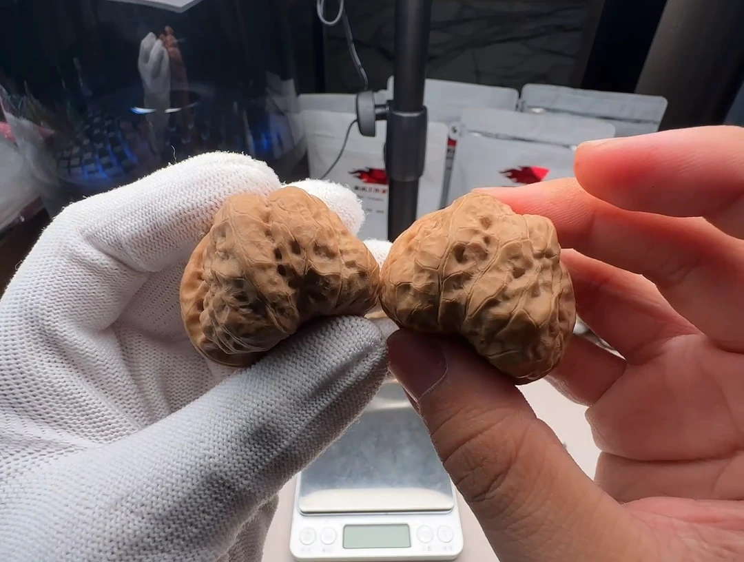文玩核桃吊坠  全品 肉蛙  42