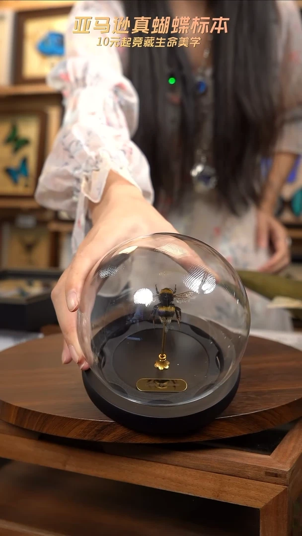 熊蜂蜂王玻璃球款