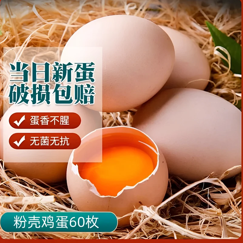 顺丰/京东3【买40枚赠20枚】新鲜谷物喂养粉壳土鸡蛋60枚/2400g