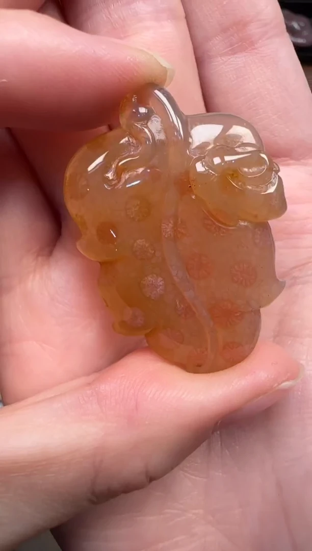 颈饰未镶嵌硅化珊瑚（珊瑚玉）592