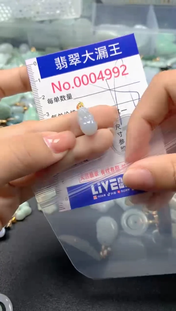 颈饰未镶嵌翡翠4992