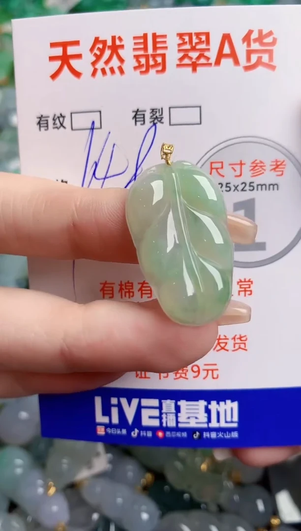 翡翠18K金镶嵌颈饰1019472252