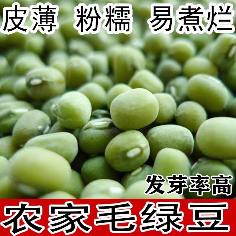 新鲜农家自种笨绿豆可煲汤煮粥消暑的营养食材