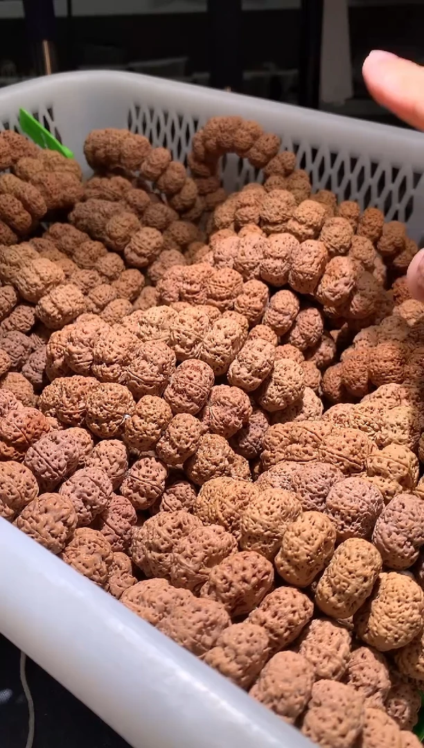 金刚菩提手串835