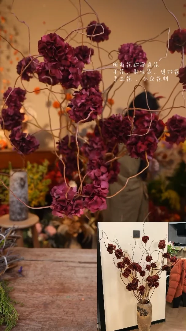 完全开放龙柳绣球