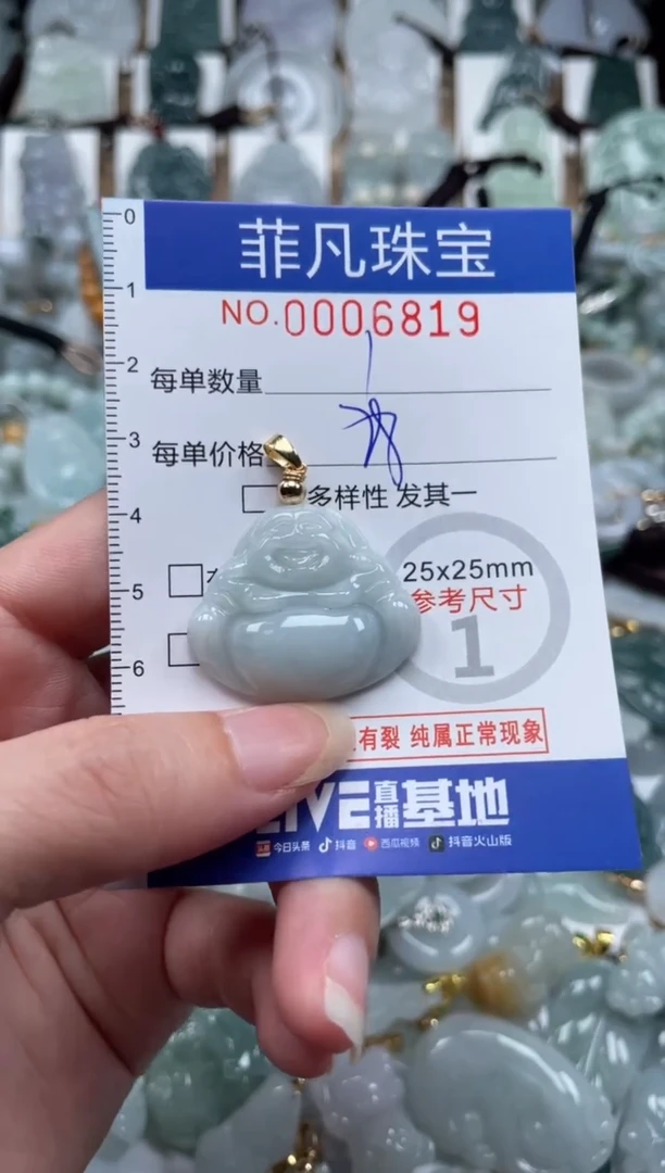 翡翠未镶嵌颈饰00..6819