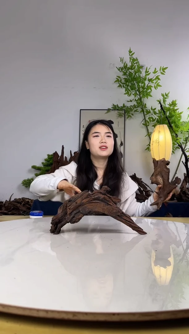 ❄***️拍沉木定向链接编号16