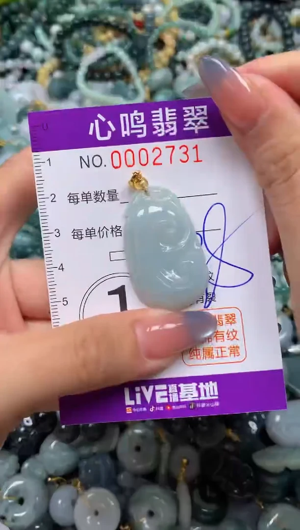 颈饰未镶嵌翡翠闪购002731