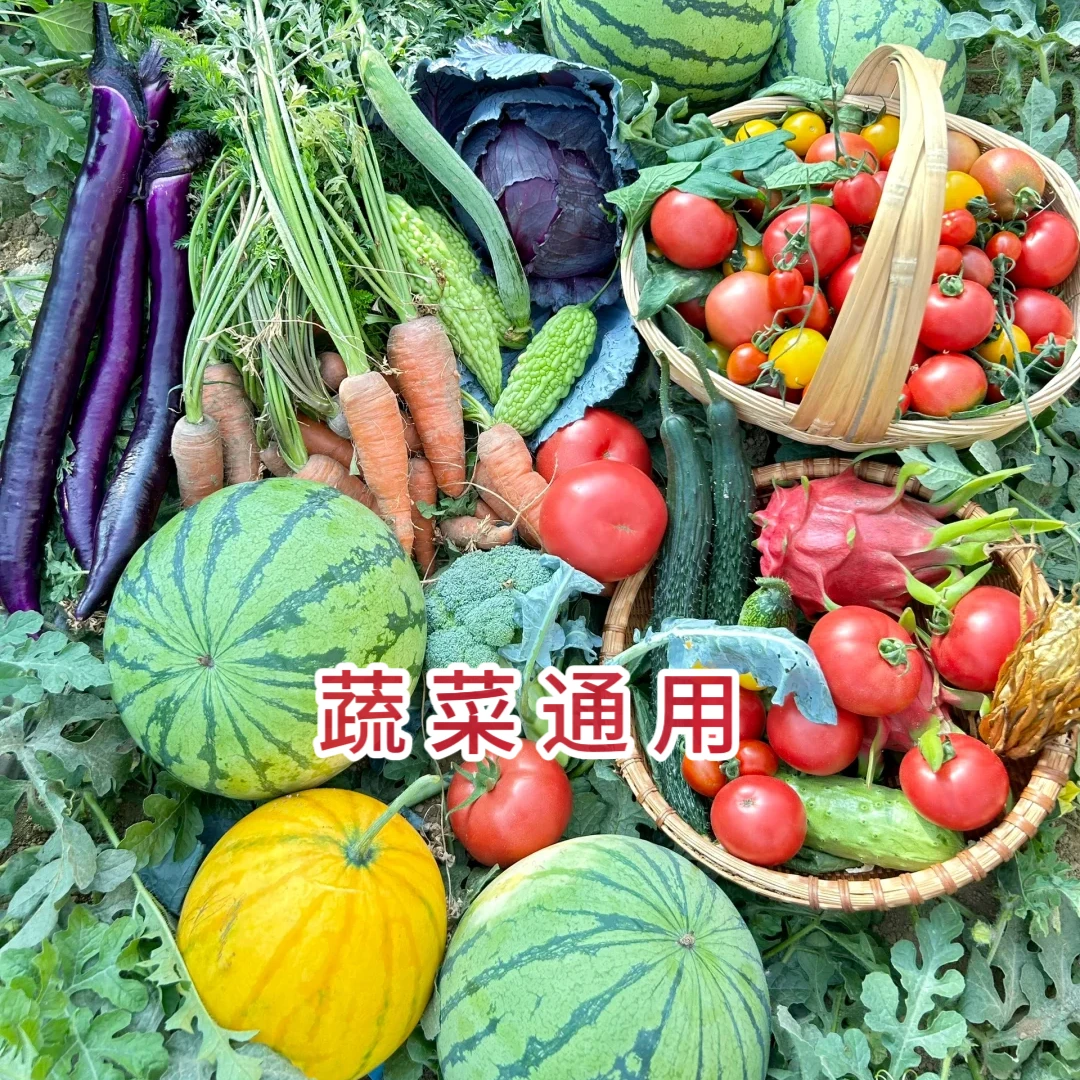 升级版配方禁对蔬菜喷射有机质套装蔬菜中转方案