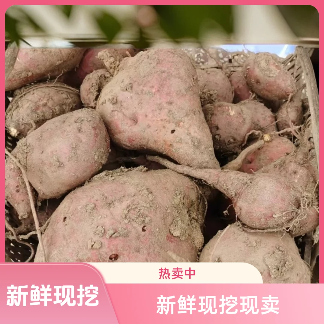安徽宿松本地红薯新鲜现挖红心红薯