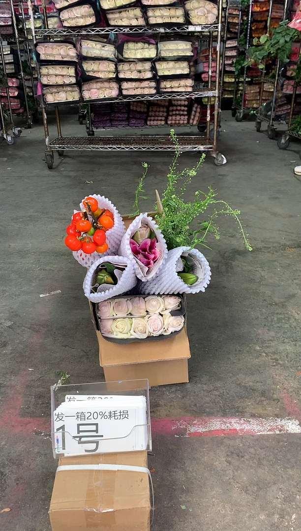 1号♥中通含20%耗损发一箱