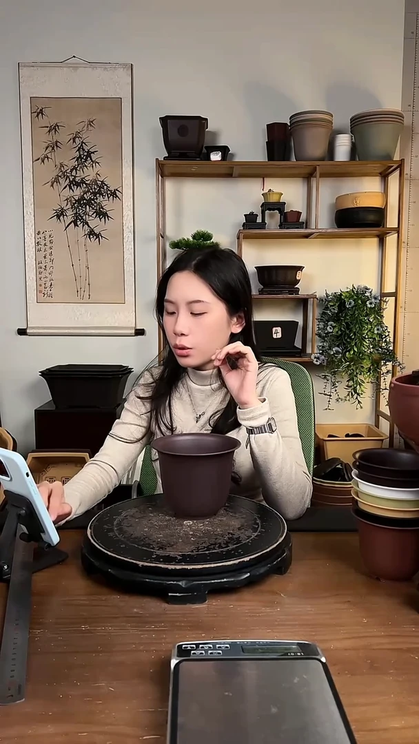 10只15口径金钟紫檀色