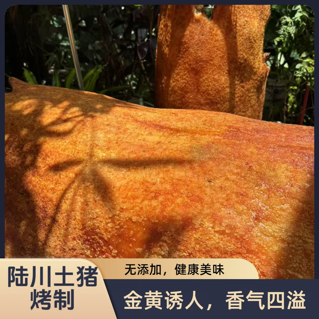 买1斤送1斤到手两斤皮脆金黄烤猪陆川猪整只烤加热即食抽真空发顺丰美食