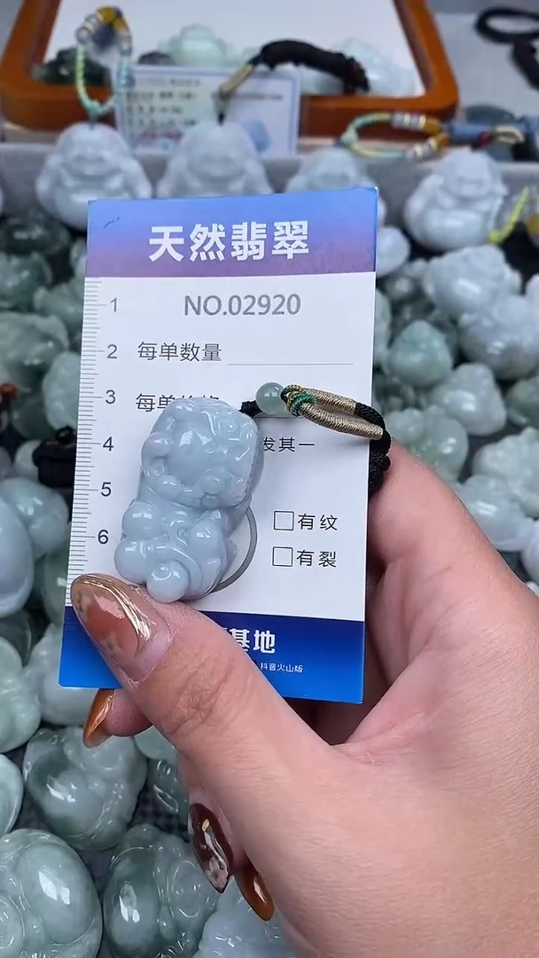 颈饰未镶嵌翡翠纯天然A货翡翠2920