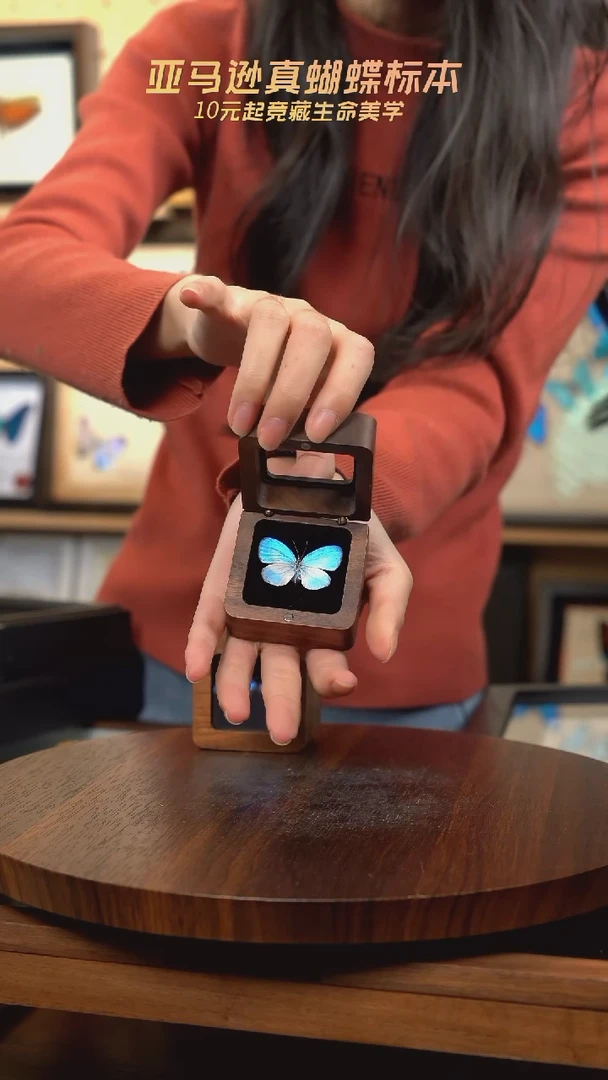 天空蓝优雅灰蝶胡桃木款