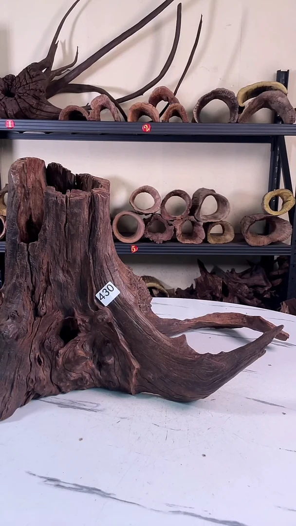 空*楼云南紫柚木造景沉木430