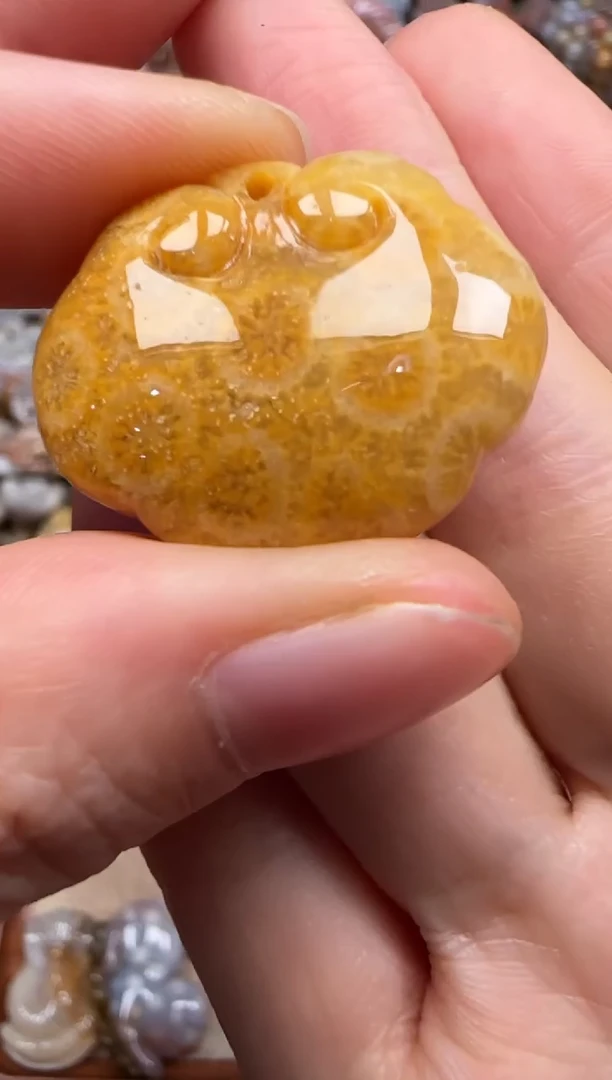 【闪购商品】硅化珊瑚（珊瑚玉）颈饰未镶嵌193