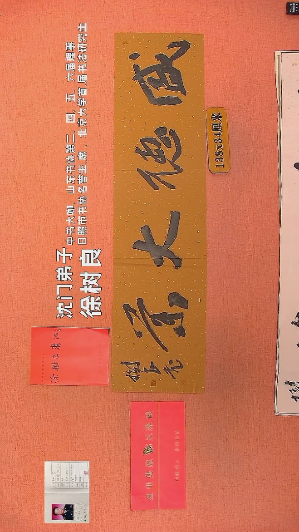 【闪购商品】书法126        徐树良书法作品