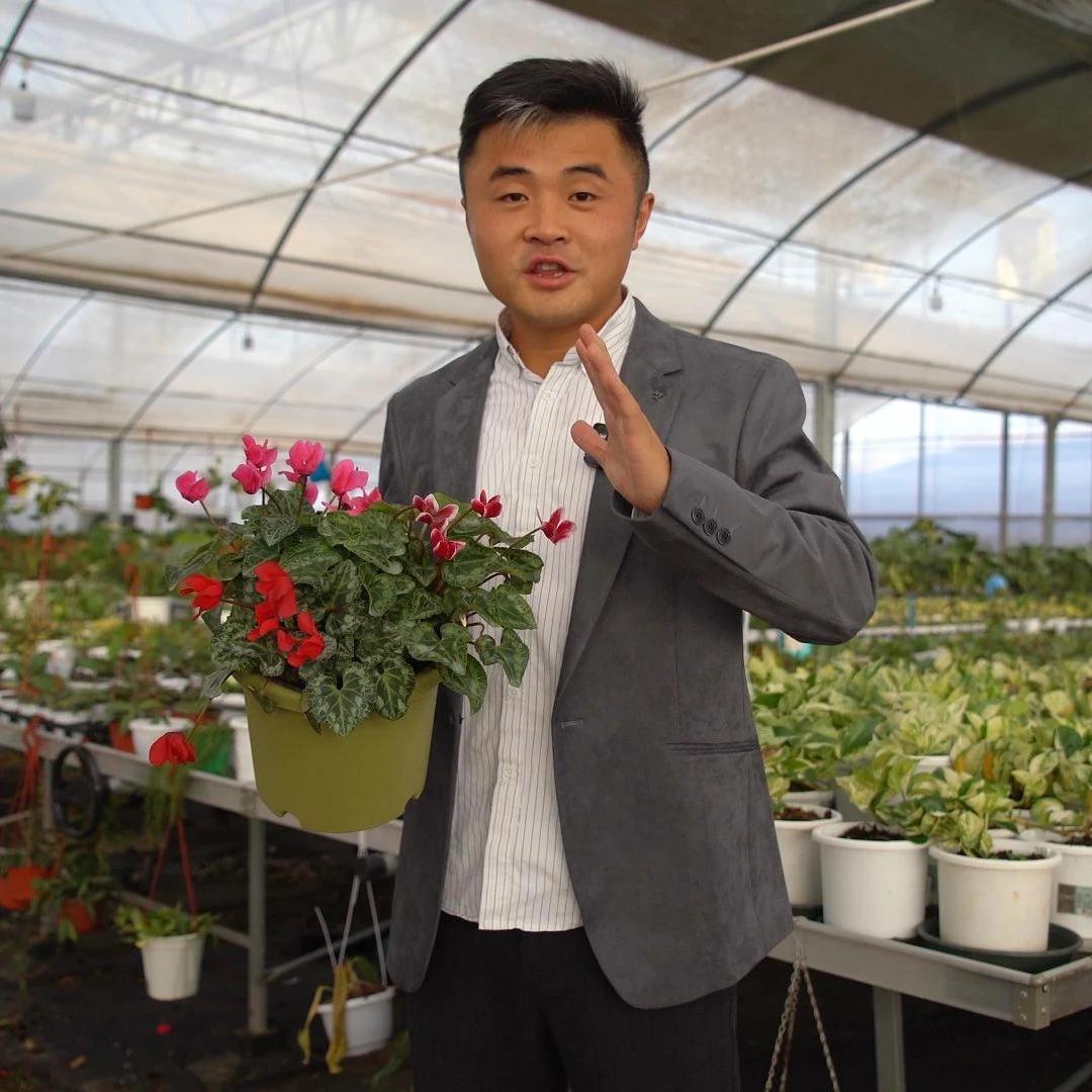 笨巴蒂斯土壤活化剂缓释肥一公斤袋装活动款