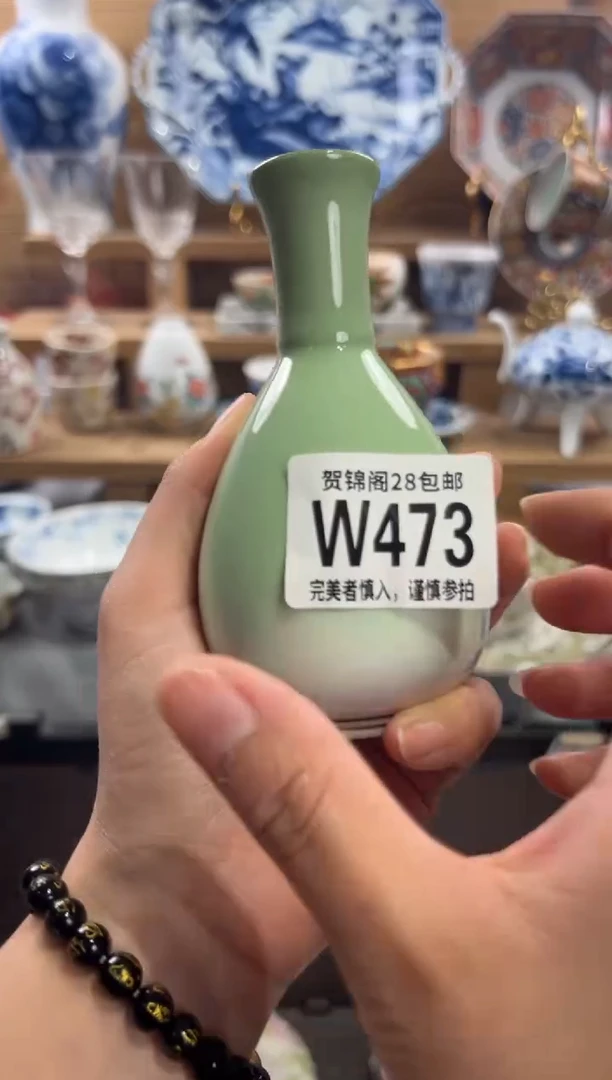 瓷片（****。      W473