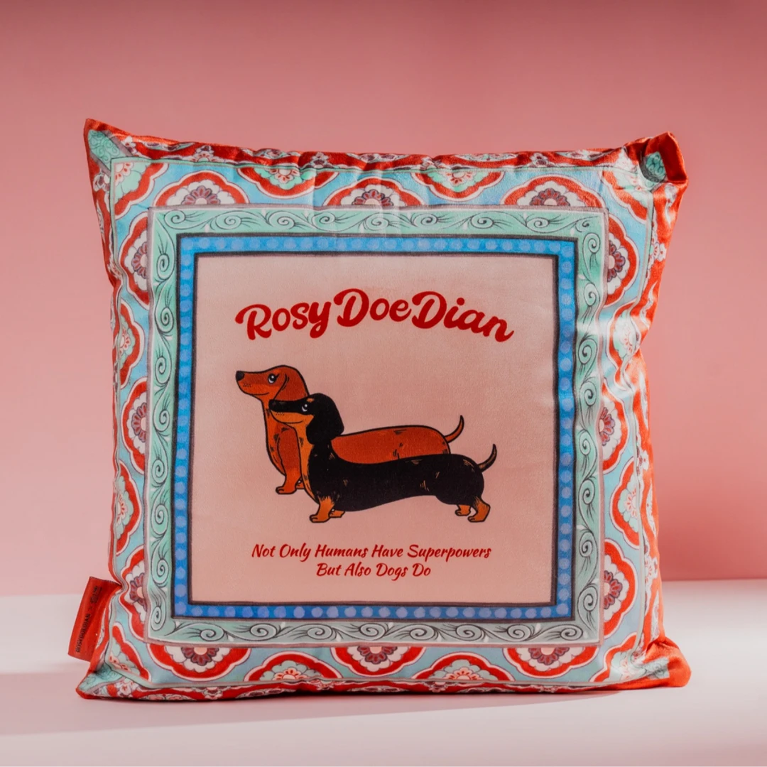 白隙×Rosydoedian联名款｜敦煌手绘纹样抱枕 含芯可拆卸 露思同款