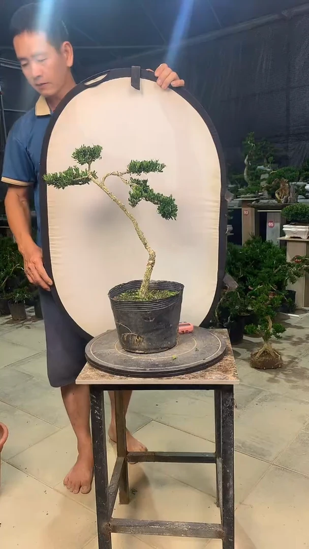 完全开放开**空1111111