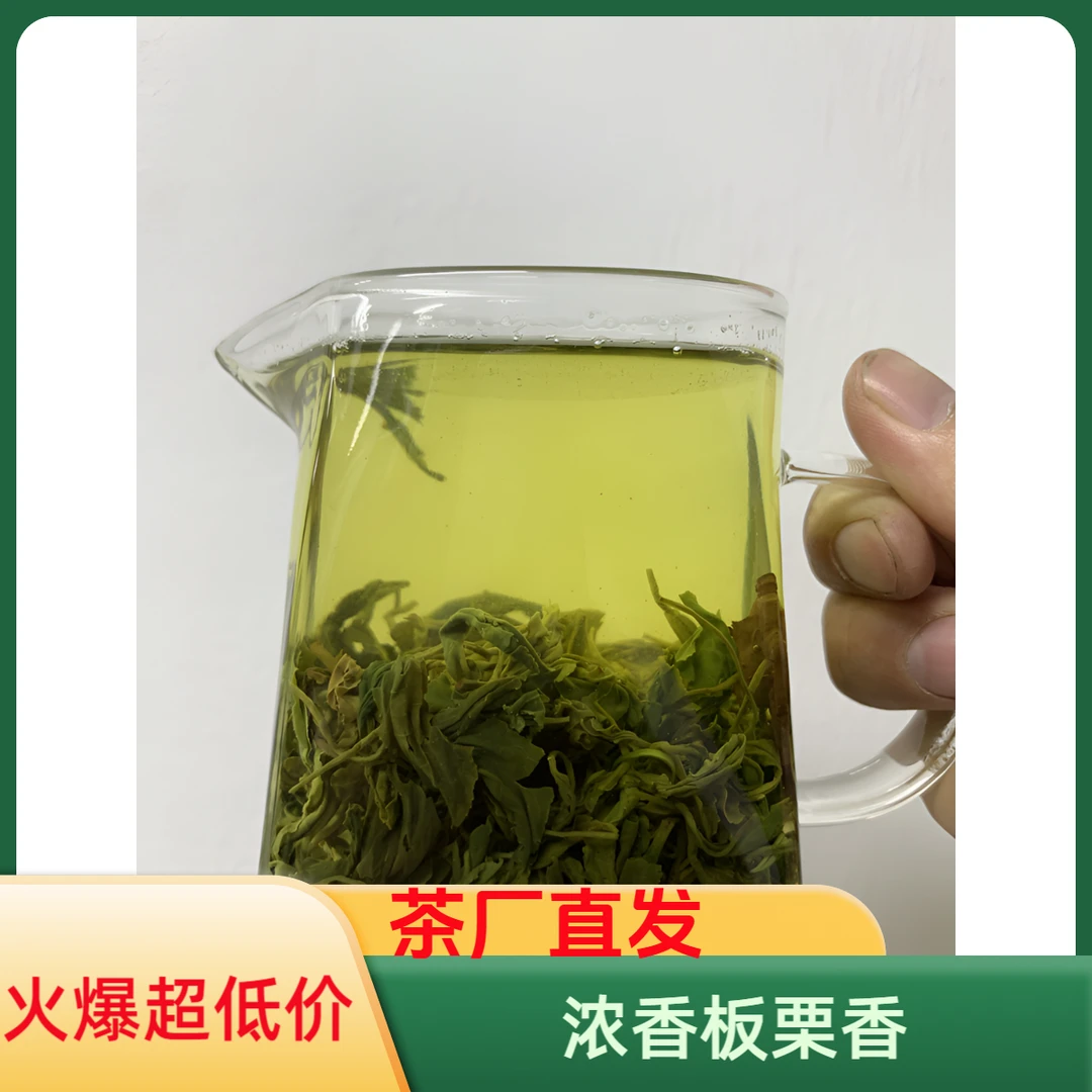日照绿茶2025新茶浓香板栗香滋味足耐冲泡口粮茶源头直发49款