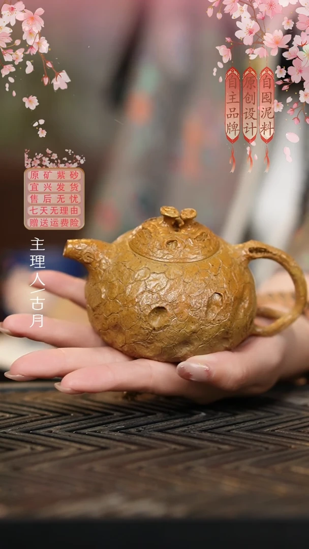 S1333陈腐老段泥灵芝供春黑金
