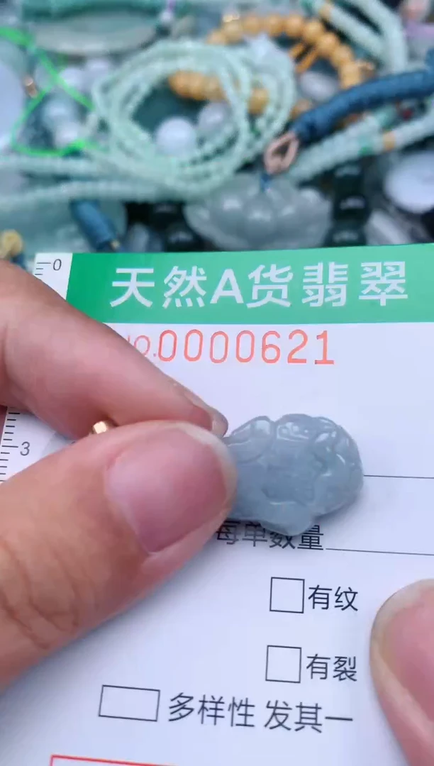 翡翠未镶嵌颈饰.0000621