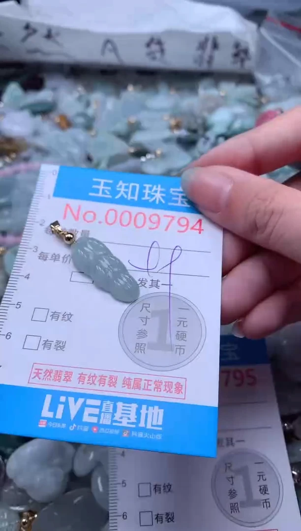 翡翠未镶嵌吊坠(不含链)9794